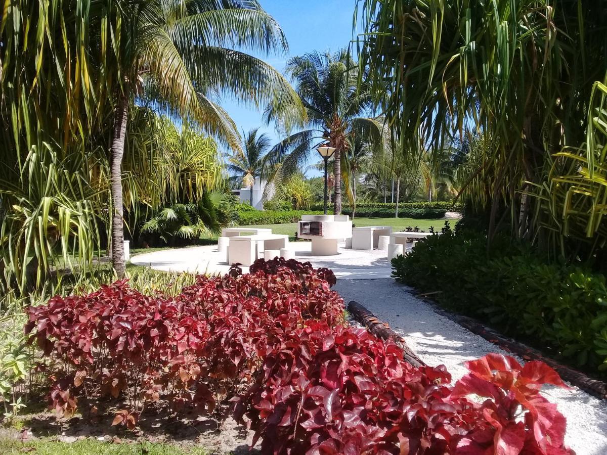 شقة Swim The Caribbean & Work With A View كانكون المظهر الخارجي الصورة